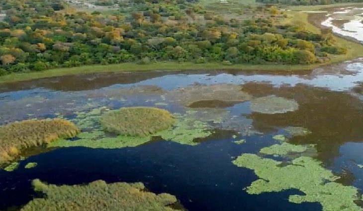 Áreas serão desapropriadas para consolidação do Parque Estadualdo Pantanal de Rio Negro. Foto: Governo do MS